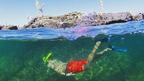 12 Days Exploring Galapagos "Santa Cruz- Isabela - San Cristobal"