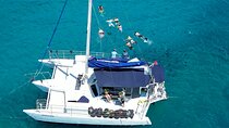 Sailing and turtle Snorkeling Tour in Waikiki: Guaranteed Turtles