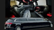 4, 5 or 6 hour Los Angeles Private Tour in Stretch Limo
