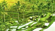 The Beauty Of Ubud Private Day Tour