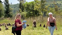 1-Day Tour Old Bridge, Monastery,WaterFalls Wildlife,Birds, 