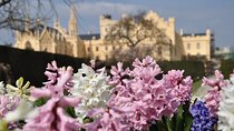 Private 4 Castles Day Trip from Vienna to South Moravian Region