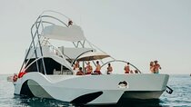 VIP Pelicano Tour