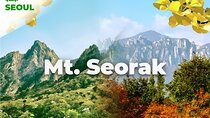 Mt. Seorak & The Tallest Ginko Tree at Yongmunsa