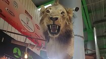 Private Tour of the Market Routes of Mexico City