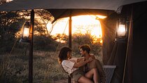  3 days Group tour Tarangire, Ngorongoro & lake manyara park