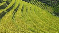 Mai Chau – Pu Luong 2D1N