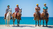 2-Hour Horseback Riding Tour Across Beach & Desert in Hurghada