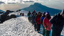 9 Day Tour in Lemosho Route Via Northern Circuit 