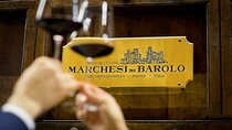 Private and guided day at the Barolo cellars in Piedmont