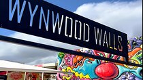 Explore in the Vibrant Art Scene of Wynwood Art Private Tour