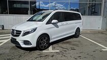 Private Transfer from Fiumicino Rome Airport(FCO) to Trieste Port