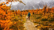 Moraine Lake: Larch Valley Hike, Departure from Banff