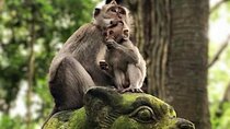 Private Tour of Ubud Center and Surroundings
