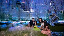 AYA Universe Dubai Ticket with Transfer option
