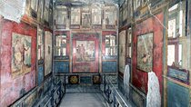 Guided visit by an Archaeologist to the Ruins of Pompeii from Naples
