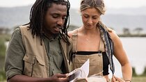 4 Days Tarangire, Serengeti & Ngorongoro Crater Joining Group