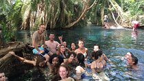 Materuni Village Waterfalls, Coffee Tour & Kikuletwa Hot Springs