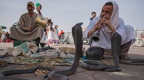 Marrakech day tour Immersion in Craft and Culture in VIP Van 