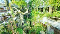 The Green Planet Dubai with Options