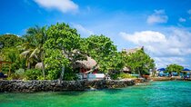 Tropical Escape: Golden Day on Pirate Island