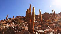 Hidden Waterfall Trekking in San Pedro de Atacama