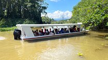 Full Day Private Tortuguero Canal and Zipline Adventure in Limon