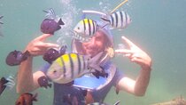 Half Day Guided Underwater Sea Walk Experience in Nusa Dua