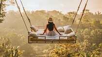 Private Tour Ubud: Swing at Rice Field with Temple and Waterfall