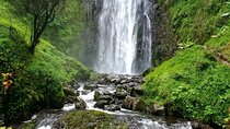 1-Day Safari to Materuni Waterfalls and Chemka Hot spring