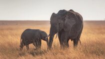 3-Day Northern circuit Safari 