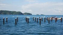 Tour of Los Haitises Montaña Redonda and Yanigua Waterfall in one day
