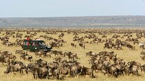 6 Days Kenya Budget Group Safari