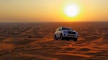 Private Morning Desert Safari with Camel Riding Dubai