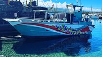 4-Hour Private Charter Adventures in Kona Coast 