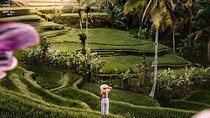 Ubud Highlights -Private Tour,Temples, Waterfalls & Rice terraces