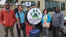 8Day 7Night Affordable Group Camping Safari in Kenya and Tanzania