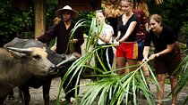 2 Day Eco Tour Mua Cave and Buffalo Cave From Hanoi to Trang An