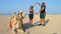 Tour in Hurghada Arabian Night and Star Watching