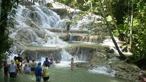 Private Transport only, Zipline and Dunns River from Montego Bay