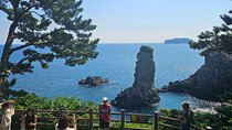 Private Guided Car Tour in Jeju Island 