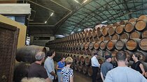 Wine Tour, discovering the famous Setúbal Moscatel