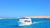 Dolphin Discovery Adventure in Hurghada