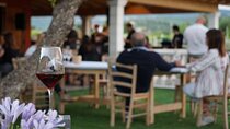  Amarone wine experience in Valpolicella region