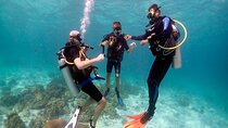 Intero Dive Full Day on Boat 2 Time Diving 