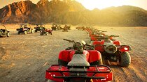  Safari Tour in Luxor 
