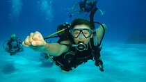 Hurghada Overnight from Luxor Including Snorkeling Tour