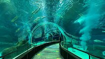 AquaRio Rio de Janeiro Tickets Only