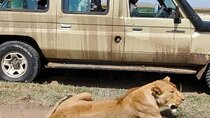 3 Days Selous Nyerere National park safari Boat and Walking 