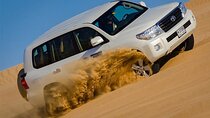 Sunset Desert Safari with Camel Riding and Sand Boarding